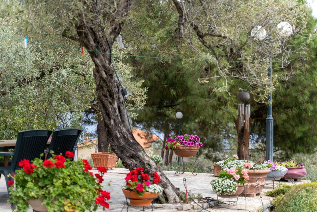 Villa Elia Kavala - Mediterranean Holiday Villa PalaiónTsiflíkion Εξωτερικό φωτογραφία