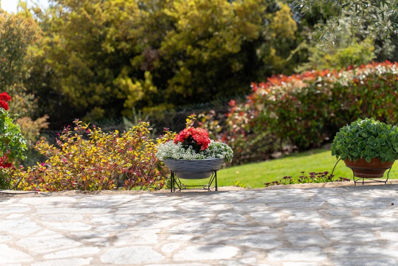 Villa Elia Kavala - Mediterranean Holiday Villa PalaiónTsiflíkion Εξωτερικό φωτογραφία
