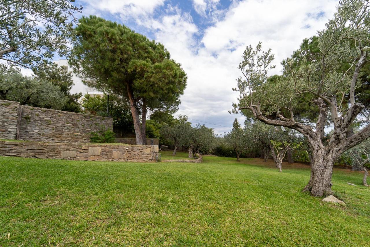 Villa Elia Kavala - Mediterranean Holiday Villa PalaiónTsiflíkion Εξωτερικό φωτογραφία
