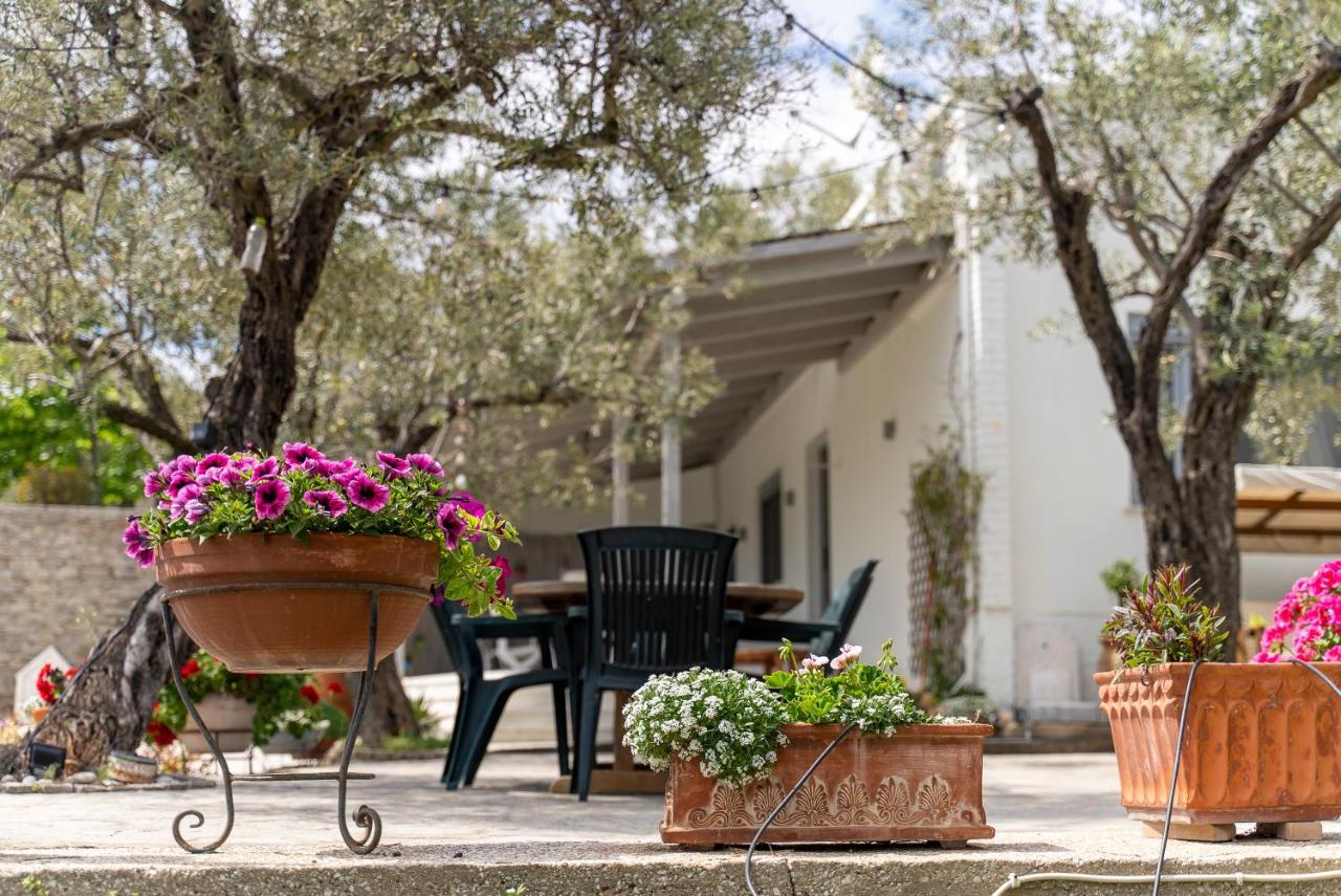 Villa Elia Kavala - Mediterranean Holiday Villa PalaiónTsiflíkion Εξωτερικό φωτογραφία