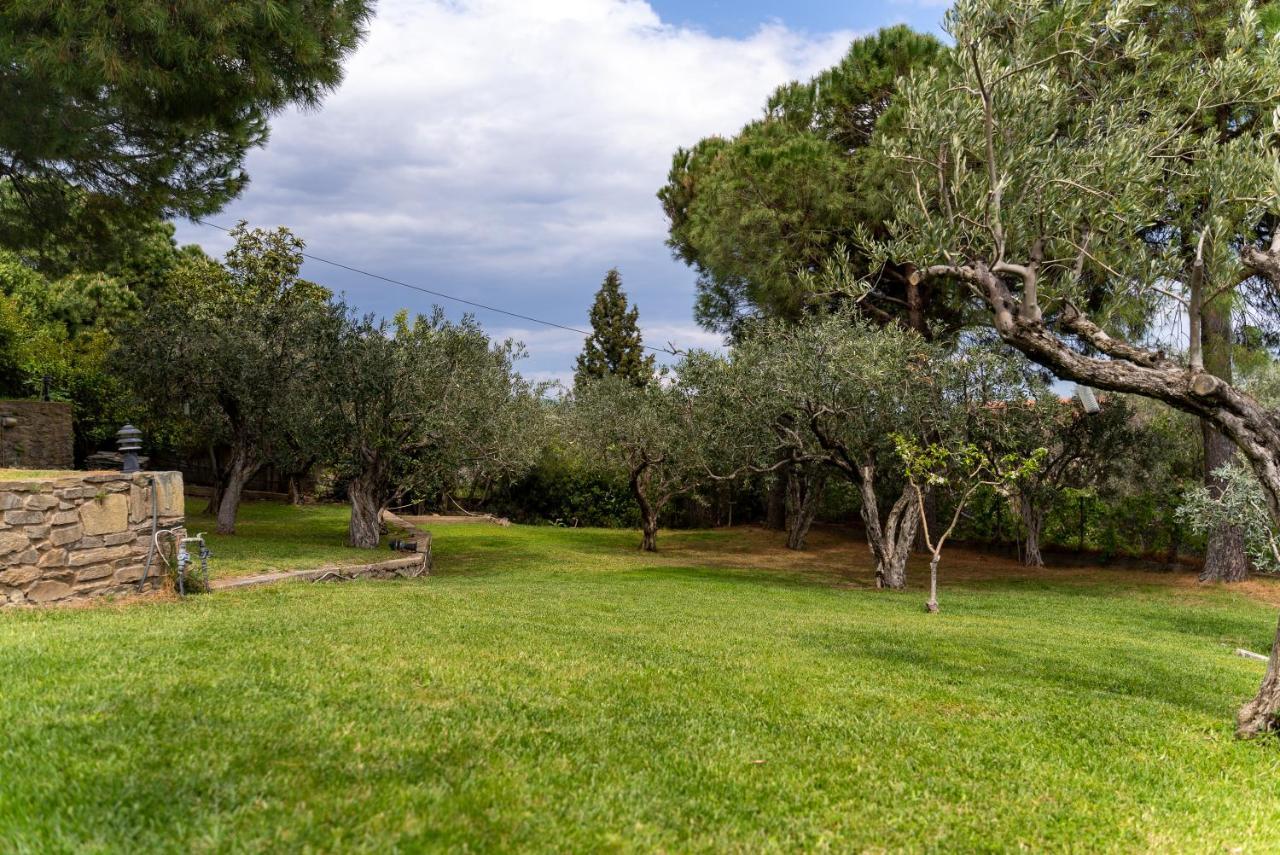 Villa Elia Kavala - Mediterranean Holiday Villa PalaiónTsiflíkion Εξωτερικό φωτογραφία